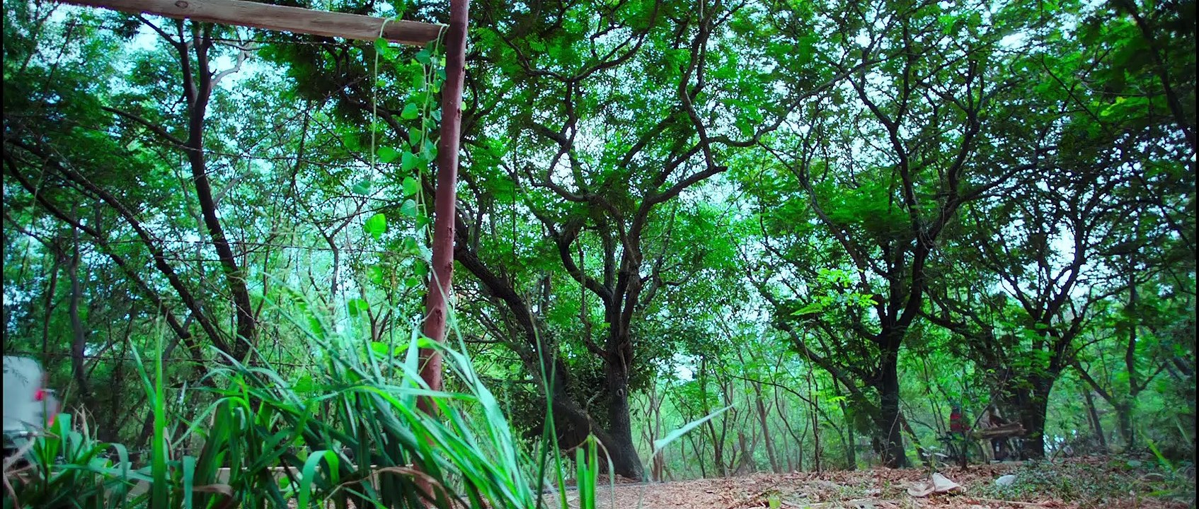 जग्गा क्यों बोला मर्डर है ? जानने के लिए देखिये रणबीर कटरीना की सुपरहिट फिल्म