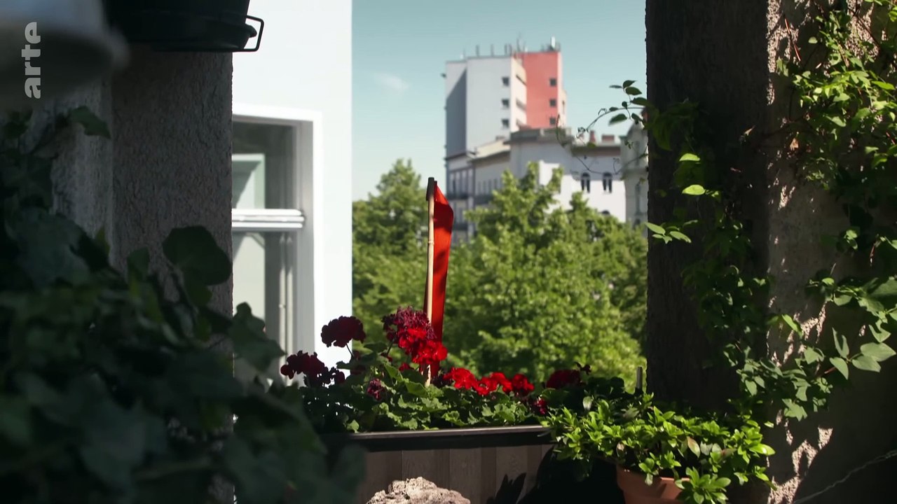 #Sterbehilfe auf dem #Prüfstand