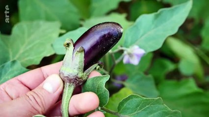 Stecken wir in einer #Spermakrise