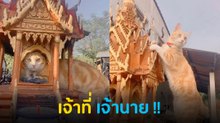 เมื่อเจ้านายกลายเป็นเจ้าที่ ทาสหัวจะปวด แบบนี้น้ำแดงต้องให้ไหม