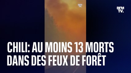 Télécharger la video: Chili: des incendies de forêt font au moins 13 morts