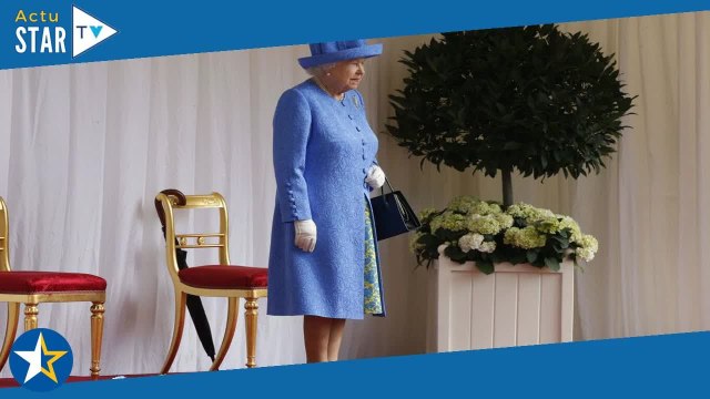Elizabeth II : Je suis là pour tuer... , les glaçants aveux de l'homme qui s'était approché de ses