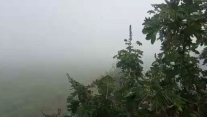 Weather News- राजस्थान में फिर बदलने वाला है मौसम