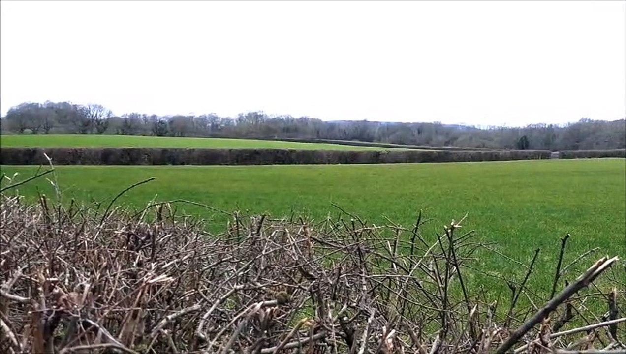 The A272 near Chichester is selected as one of the top ten most scenic and enjoyable roads to drive in the country