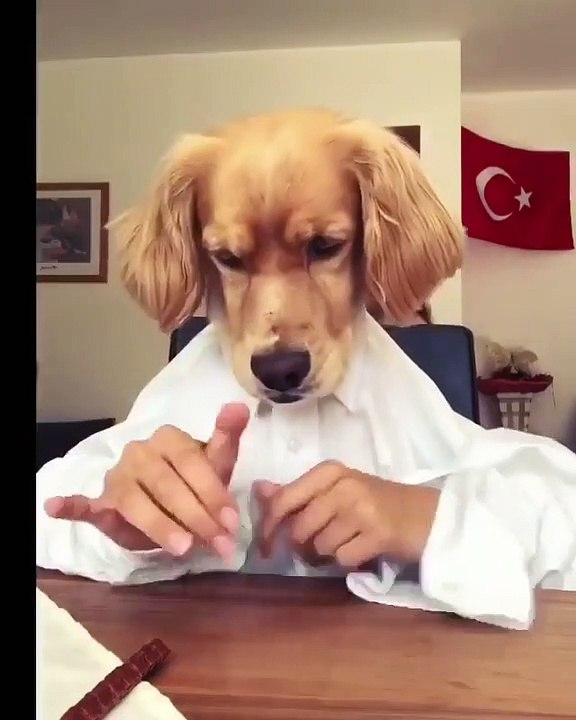 Wait for end