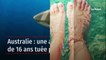 Australie : une adolescente de 16 ans tuée par un requin