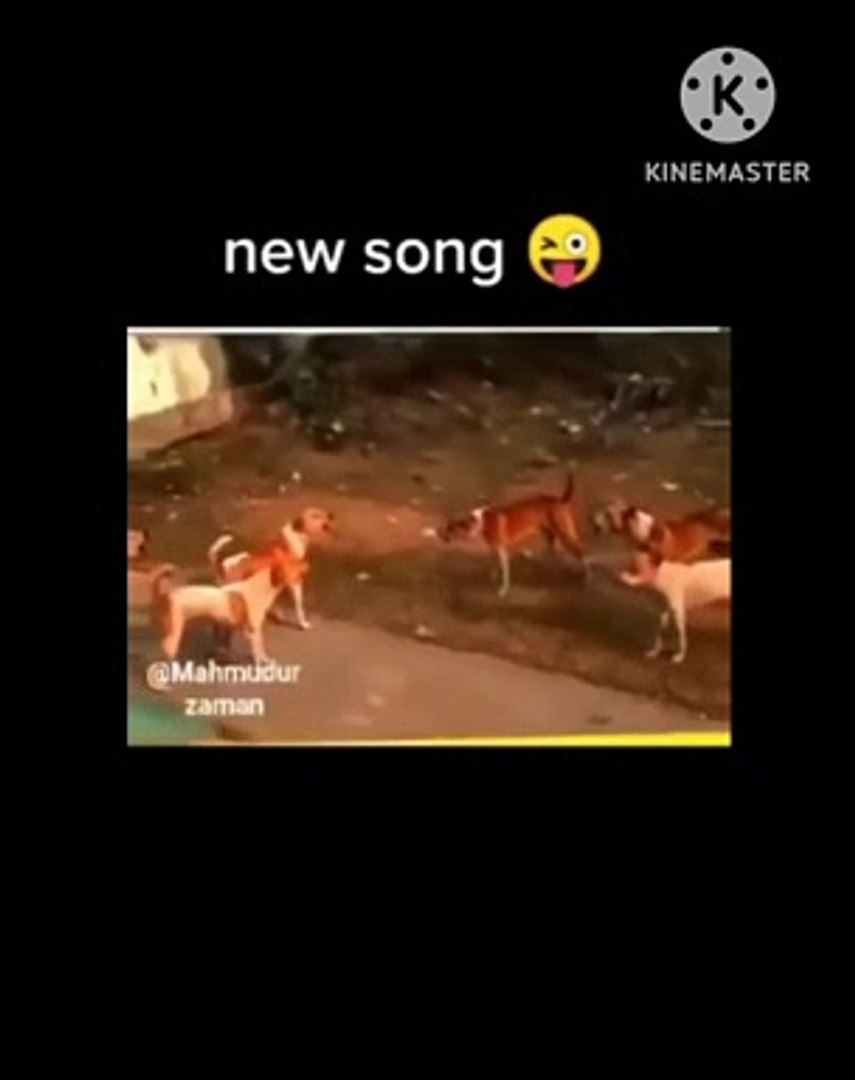 New trending song dance