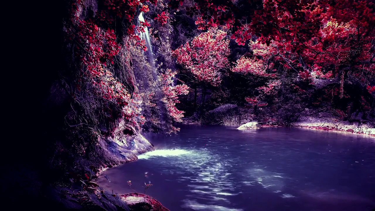 What Happens After Death