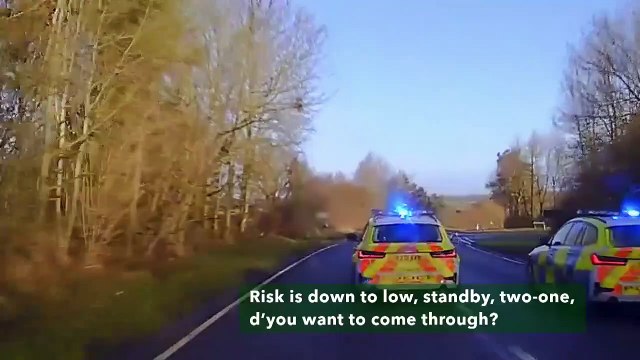 Les policiers anglais n'ont peur de rien... jolie intervention