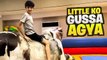 Little ko bull Ride Par Ghussa Agya.