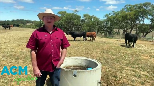 Stock Journal Beef Week 2023 - day 2 with Jaemac | Stock Journal | 05/02/23