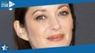 Marion Cotillard "couche avec" Guillaume Canet : sans filtre, l'actrice se lâche avec humour sur son