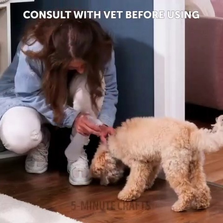 The easiest and most effective ways to get rid of pests in your house & garden!