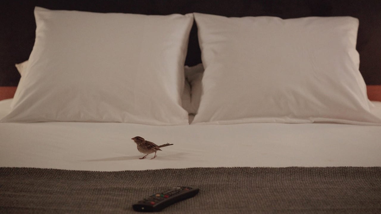 Bird People (2014) | Official Trailer, Full Movie Stream Preview