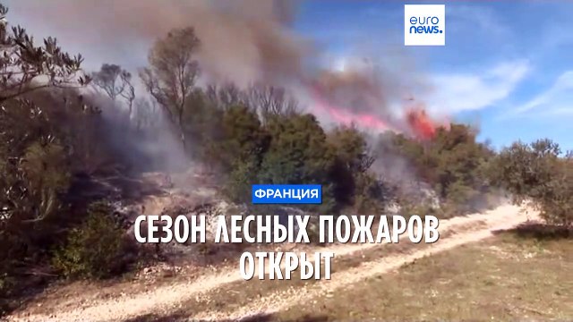 Сезон лесных пожаров во Франции открыт