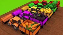 Harvesting Fruits and Vegetables with Tractors Learn Colors for Kids Childre