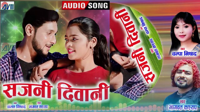 Bhagwat kashyap _ Champa Nishad _ Cg Song _ Sajani Diwani _ New Chhattisgarhi Gana _ AVM STUDIO RAI