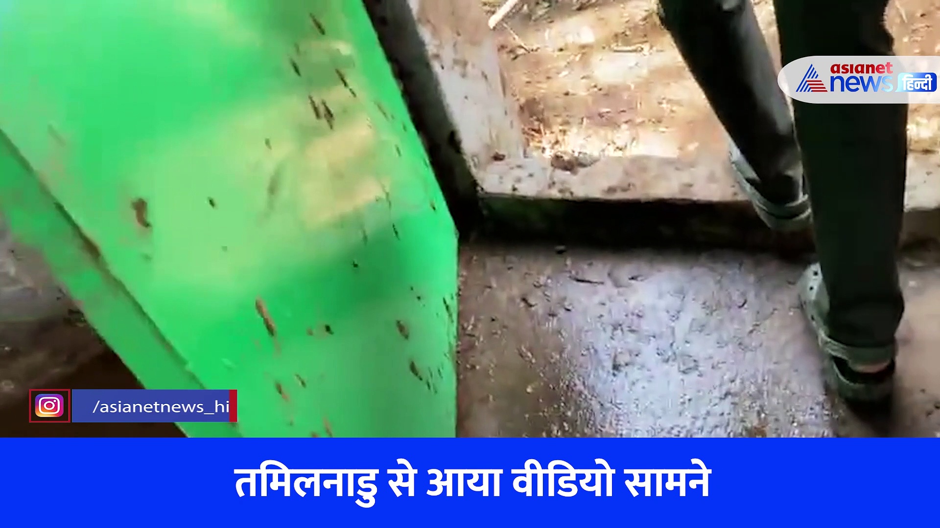 Viral Video: कोबरा सांप का बच्चा घर में घुसा तो मालिक ने किया ऐसा, दिल छू लेगा वीडियो