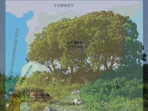 Jewish History Moment - Eli Cohen - Israeli spy - Zionism