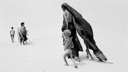 The Salt of the Earth (2014) | Official Trailer, Full Movie Stream Preview