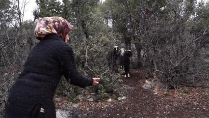 Mersin Büyükşehir'in Projesine Üreticiden Tam Not