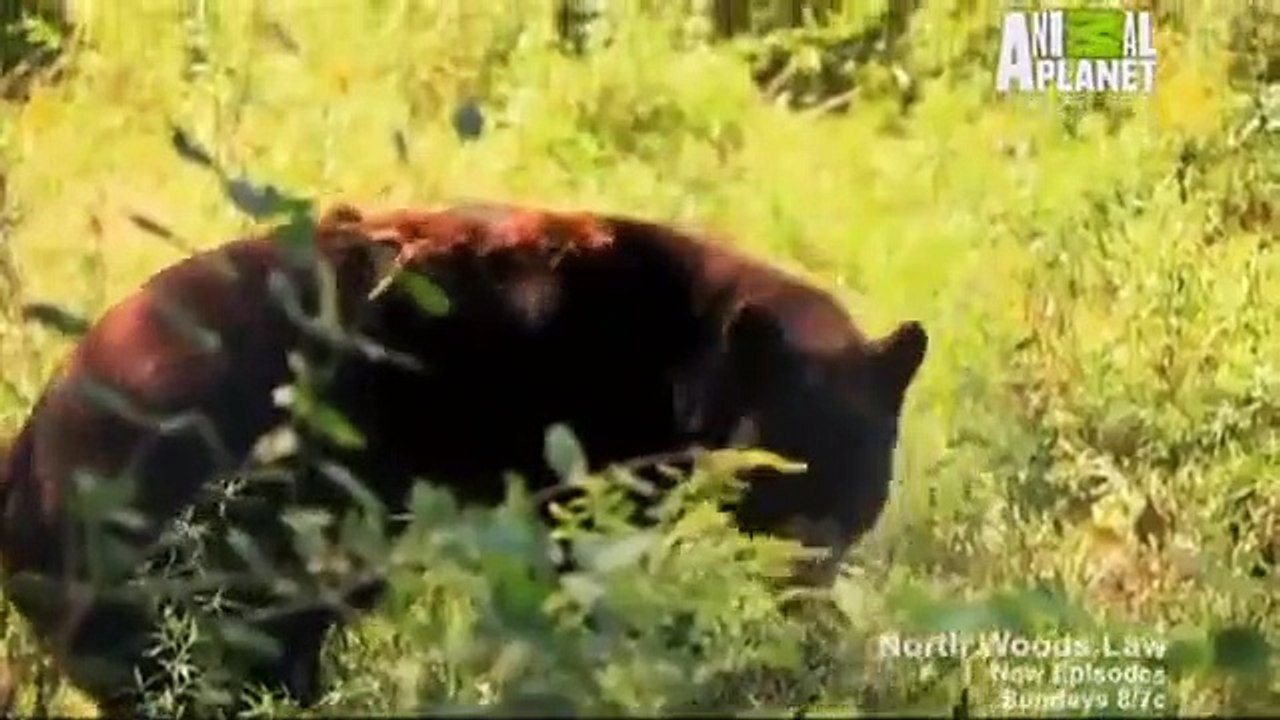 North Woods Law - Se5 - Ep03 HD Watch