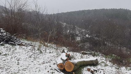 ÇATALCA BEYAZA BÜRÜNDÜ