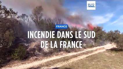 France : un incendie parcourt 110 hectares de végétation dans les Bouches-du-Rhône