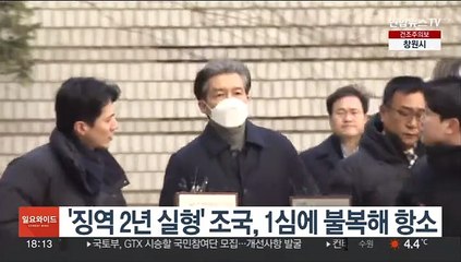 下载视频: '징역 2년 실형' 조국, 1심에 불복해 항소