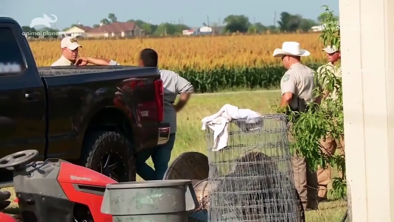 Lone Star Law - Se6 - Ep0 - Special - Dangerous.Attitude HD Watch