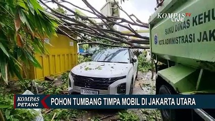 Pohon Tumbang di Kawasan Sunter Barat, Timpa Mobil dan Robohkan Sejumlah Tiang Listrik!