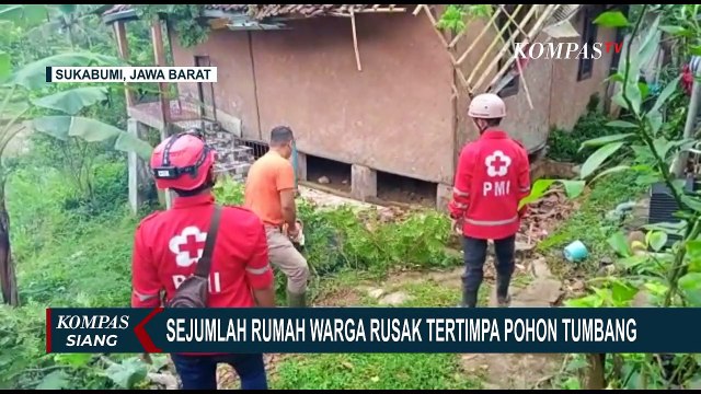 Sejumlah Rumah Warga di Sukabumi Rusak Tertimpa Pohon Tumbang