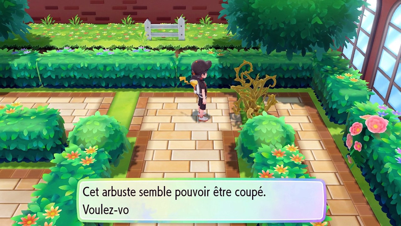 Pokémon Let's Go Pikachu let's play FR #13 - L'Arene de Celadopole