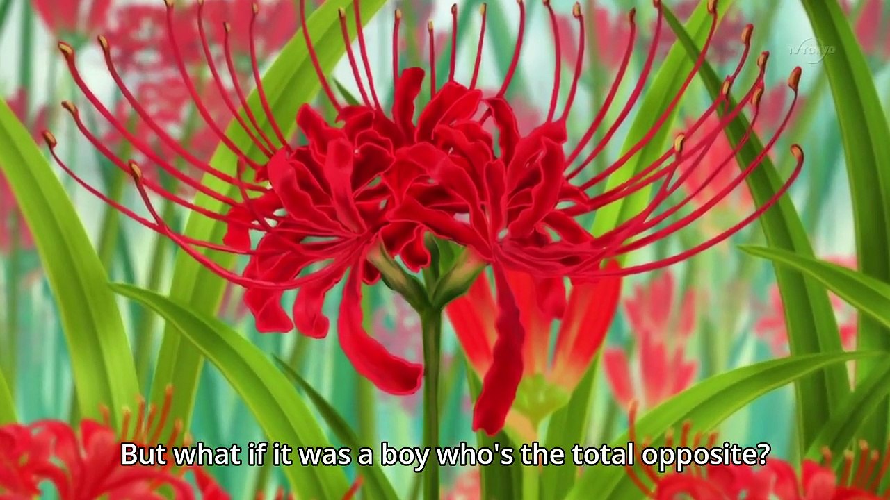 Rilu Rilu Fairilu - Yousei no Door - Ep35 HD Watch