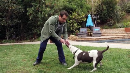 Real Rob - Se2 - Ep04 - Zen What Happens HD Watch