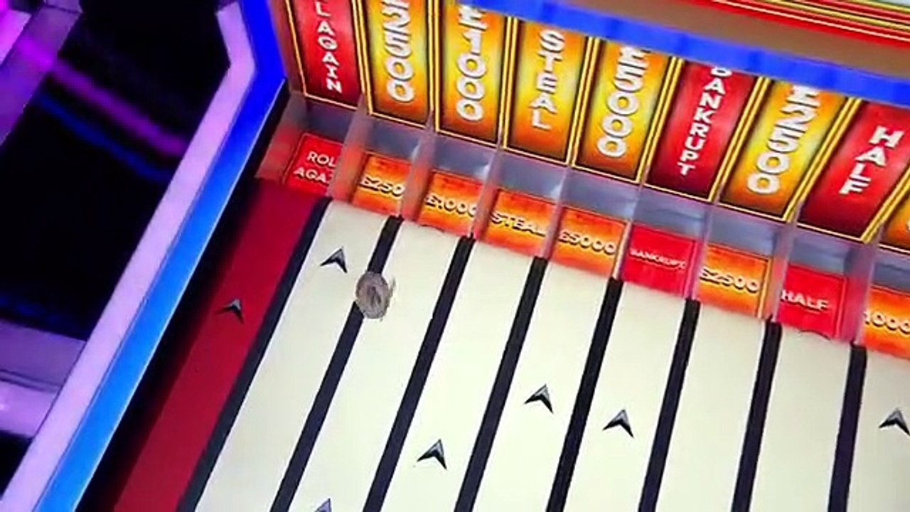 Rolling In It - Se1 - Ep02 HD Watch