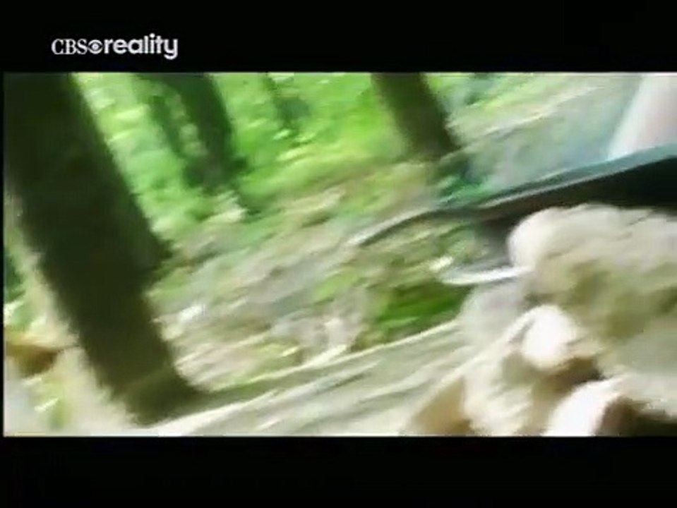 Forensic Files - Se9 - Ep10 HD Watch