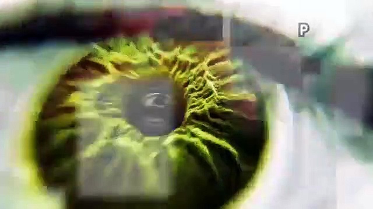 Celebrity Big Brother - Se21 - Ep35 - Day 30 HD Watch
