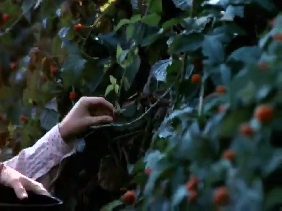 The Waltons - Se2 - Ep09 HD Watch