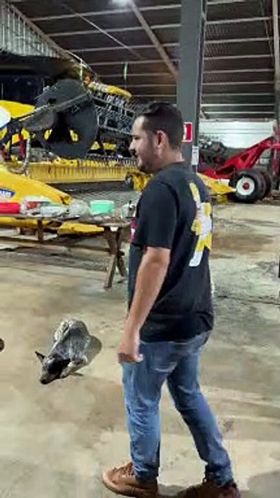 Man Has His Chair Legs Kicked Out From Under Him