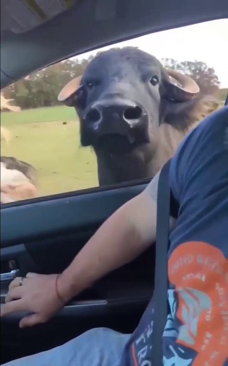 WHERE IS MY SHARE 