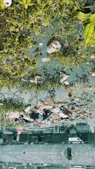 2 chàng trai trẻ không quản vất vả lội mương, dọn rác làm sạch thủ đô