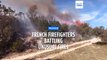 Despite chilly February temperatures, forest fire destroys hectares in France