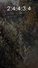 Kata kata motivasi I story wa 30 detik #shorts #story #sadstory