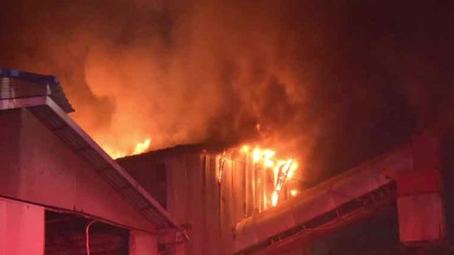 대전 펄프 공장서 화재...한때 대응 1단계 발령 / YTN