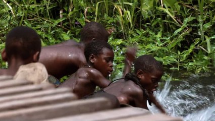 Song from the Forest (2014) | Official Trailer & Full Movie Preview 🎬