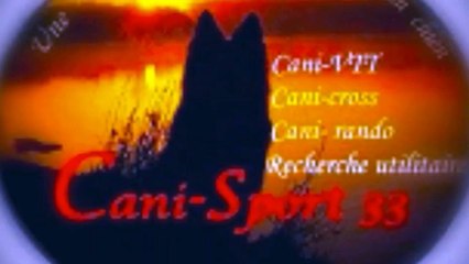 martzuk exercice objet avec des plots au sol le 5 fevrier 2023