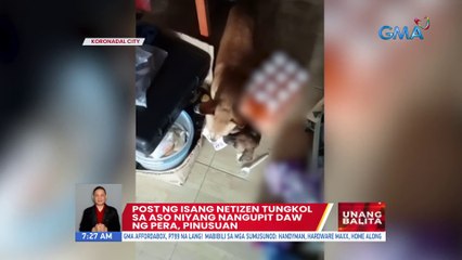 Post ng isang netizen tungkol sa aso niyang nangupit daw ng pera, pinusuan | UB
