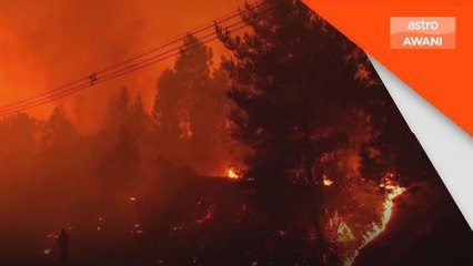Kebakaran | Mangsa korban kebakaran hutan di Chile terus meningkat