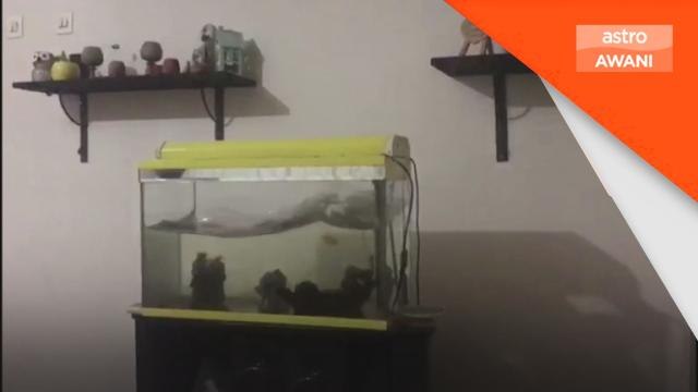 Earthquake of magnitude 7.9 strikes central Turkey -GFZ